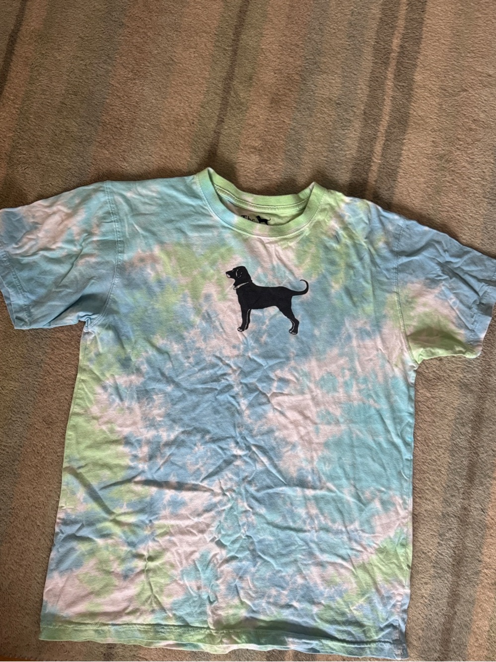 Black Dog Tie-Dye Kids T-Shirt with Dog Graphic - Blue & Green XL 16-18